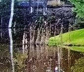 Продать Земельные участки, земля Луг кп  11 