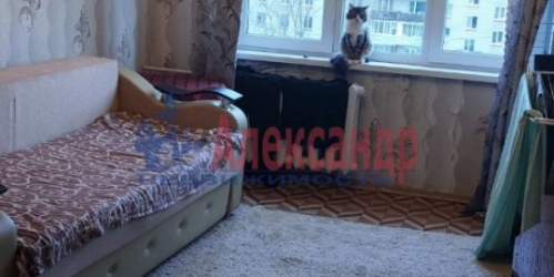 2-комн квартира Красное Село г., Гатчинское шос.,  д. 11