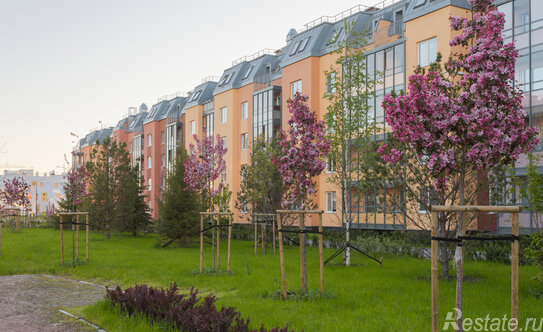 Продажа 1-комн квартиры на вторичном рынке Струве ул,  д. 6