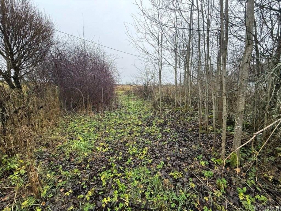 Продажа земли Озертицы, Озертицы д.