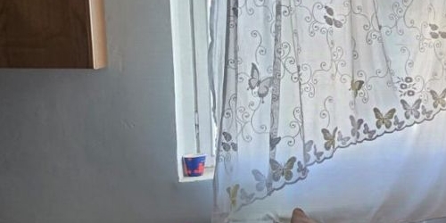 1-комн квартира проезд Черепановых, 36