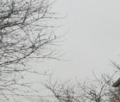 Продать Дачи, коттеджи, загородные дома д. Мухоловка, 29   