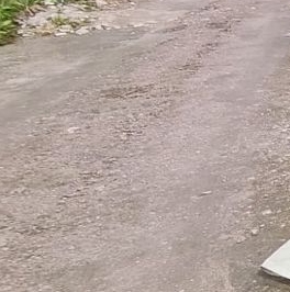 Продажа земли Ульяновка кп, Ульяновка пгт, 76 Продажа земли Ульяновка кп, Ульяновка пгт, 76