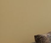 Сдать в аренду Квартиры вторичка пос. Шушары, проспект Новгородский, 6   