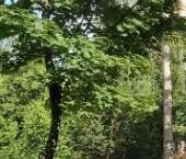 Продать Квартиры вторичка Люберцы, улица Льва Толстого, 17   