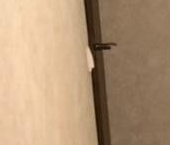 Сдать в аренду Квартиры вторичка 2-я Пугачевская улица, 10К1   