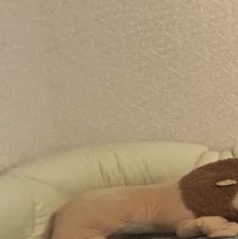 Аренда 1-комн квартиры на вторичном рынке проспект Маршала Жукова, 41