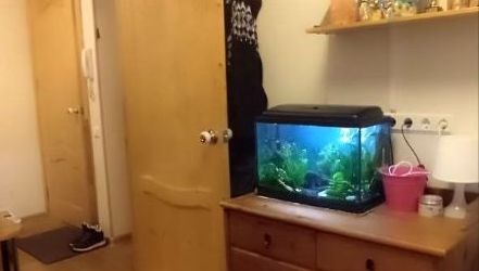 2-комн квартира Пушкин, Ленинградская улица, 61