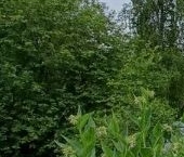 Продать Квартиры вторичка Вырица городской поселок, улица Оредежская, 27   