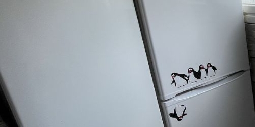 Комната улица Ольги Форш, 1/4