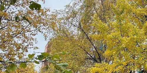 1-комн квартира Стародеревенская улица, 24К1