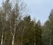 Продать Земельные участки, земля д. Хязельки, улица Нижняя   