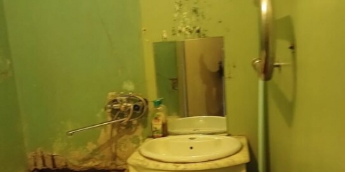 1-комн квартира Сестрорецк г, Дубковское ш,  д. 36