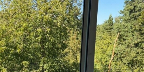 1-комн квартира улица Максимова,  д. 10