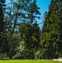 Продажа дома пос. Первомайское, улица Тихая, 5 Продажа дома пос. Первомайское, улица Тихая, 5