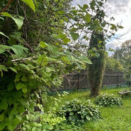 Коттедж/дом Вырица городской поселок, улица Менделеева