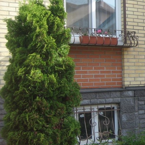 Коттедж/дом Красное Село