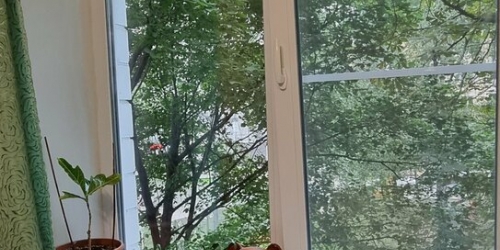 2-комн квартира ул Шкулёва,  д. 3А