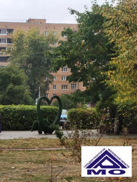 Продажа 1-комн квартиры на вторичном рынке Орехово-Зуево, Центральный б-р.,  д. 7