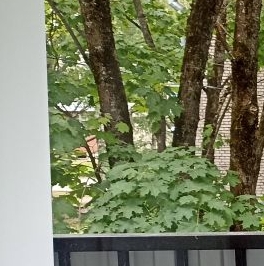 Продажа 1-комн квартиры на вторичном рынке Кузьмоловский пгт, улица Железнодорожная, 14 Продажа 1-комн квартиры на вторичном рынке Кузьмоловский пгт, улица Железнодорожная, 14