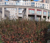 Продать Квартиры вторичка Левашовский пр-кт   