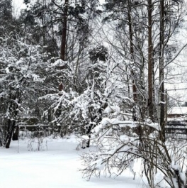 Продажа 1-комн квартиры на вторичном рынке Вырица, ул Красная,  д. 39