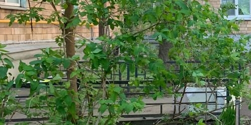 3-комн квартира Миусская площадь, 5