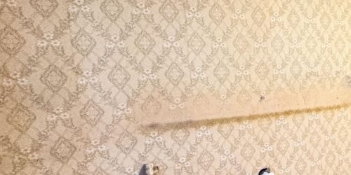 1-комн квартира улица Пограничника Гарькавого, 51К1