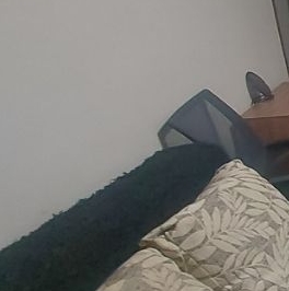 Аренда комнаты проспект Луначарского, 19К1