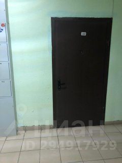 Аренда студии д. Мотяково, 65к44