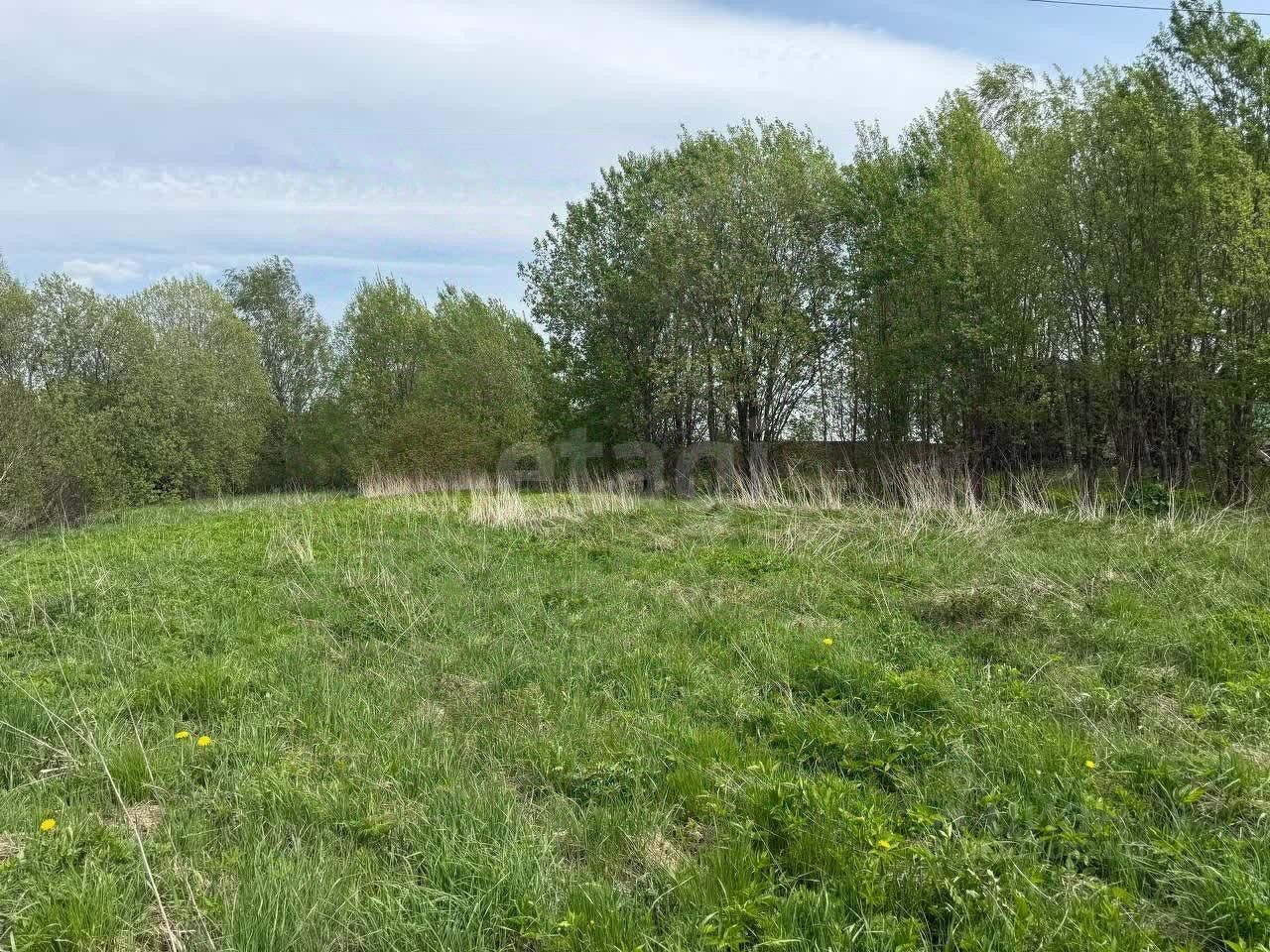 Продажа земли д. Корпикюля, 2Б