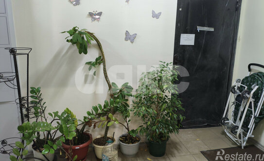 Продажа 1-комн квартиры на вторичном рынке Раменское, ул Крымская,  д. 7