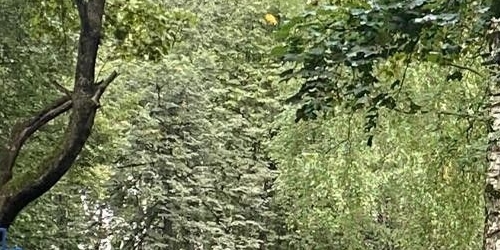 3-комн квартира Сумской проезд, 31К2