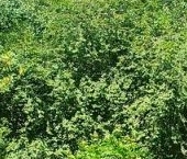 Продать Квартиры вторичка Купчинская улица, 4К1   