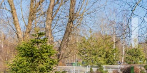 1-комн квартира пос. Лисий Нос, Ивановская улица, 10