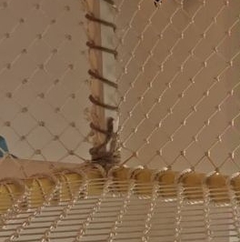 Аренда 2-комн квартиры на вторичном рынке Чертановская ул,  д. 7А