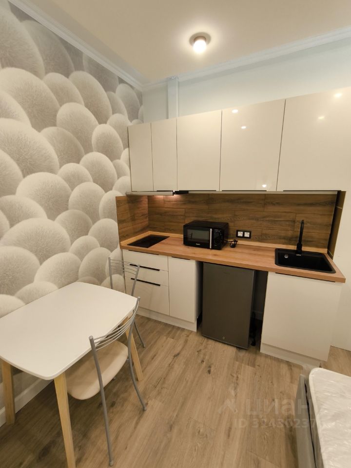 Продажа студии Большая Пушкарская улица, 3