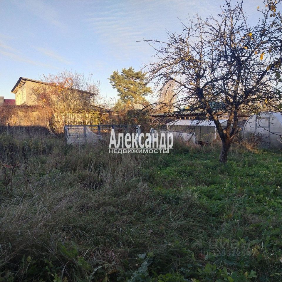 Продажа земли д. Дубки, улица Центральная, 31