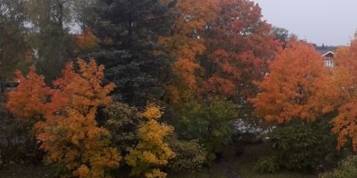 2-комн квартира Приозерск, Привокзальная улица, 5