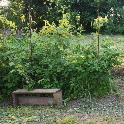 Коттедж/дом д. Покизен-Пурская, 29