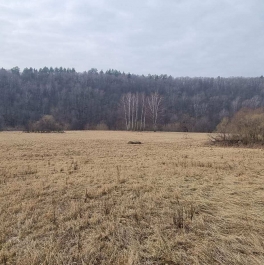 Продажа отдельного здания деревня Берхино, базы отдыха Лесные дали территория