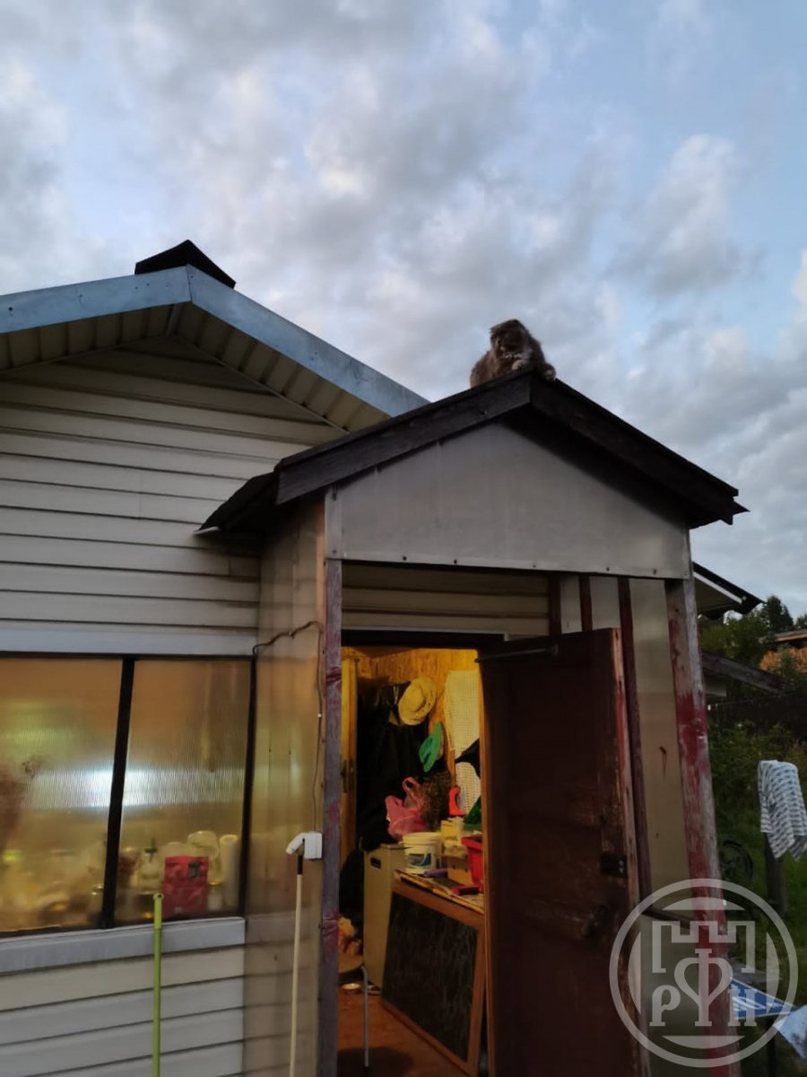 Продажа дома Вистино дер.