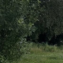 Продажа 1-комн квартиры на вторичном рынке Выборгское шоссе, 156к2