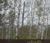 Продать Дачи, коттеджи, загородные дома Ульяновка пгт, улица Самойловская, 59   