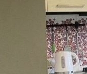 Продать Квартиры вторичка пос. Песочный, Белоостровское шоссе, 1   