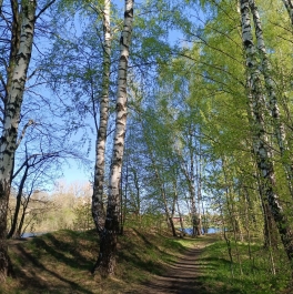 Продажа дома деревня Дятловка, д. 257 Продажа дома деревня Дятловка, д. 257