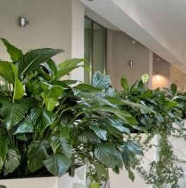 Продажа 3-комн квартиры на вторичном рынке Каменноостровский проспект, 64К2 Продажа 3-комн квартиры на вторичном рынке Каменноостровский проспект, 64К2