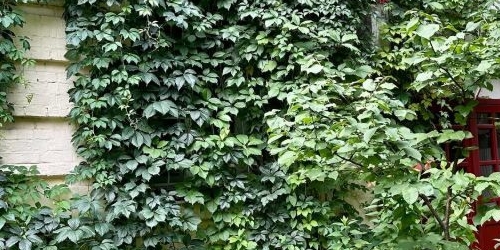 2-комн квартира Хитровский переулок, 3/1С1