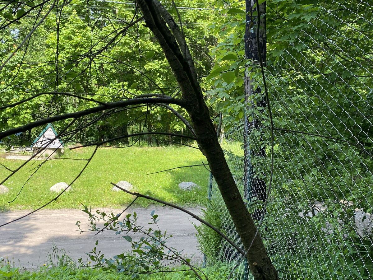 Продажа земли Токсово городской поселок, улица Комендантская гора