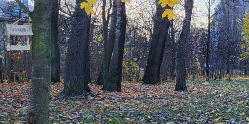 3-комн квартира Большая Озерная улица, 70